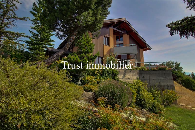 6002. Maison lumineuse avec vue panoramique sur les montagnes (5)