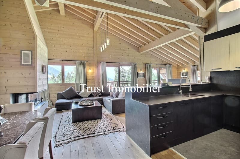 2010M-Gryon-Appartement luxueux (2)