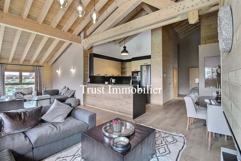 2010M-Gryon-Appartement luxueux (1)