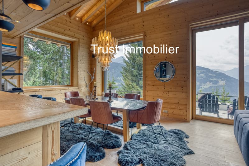 2011M-Gryon-Maison luxueuse de 450m2 (6)