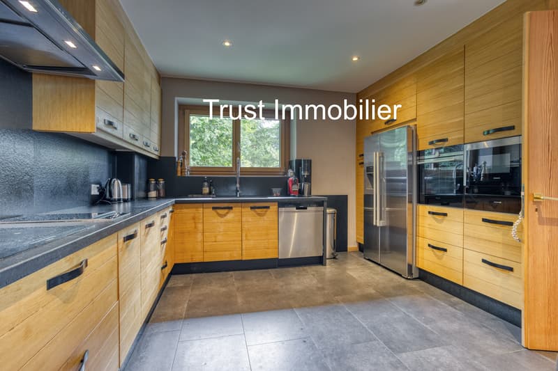 2011M-Gryon-Maison luxueuse de 450m2 (8)