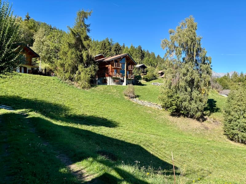 Grande Parcelle prête à accueillir votre futur chalet à La Tzoumaz (4)