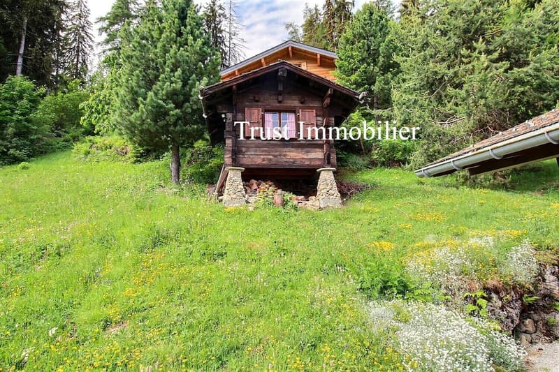 Chalet de 5.5 pièces un véritable refuge alpin au coeur de La Tzoumaz (12)