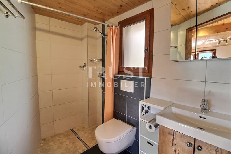 LUC / AYENT - MAGNIFIQUE GRANGE RÉNOVÉE AVEC MAISON VILLAGEOISE (12)