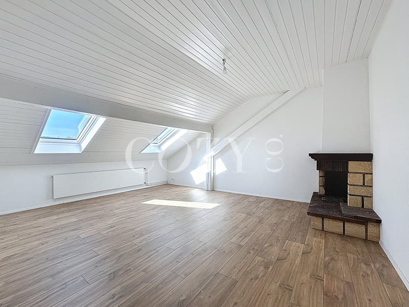Spacious attic or loft space with white walls, wooden flooring, and a fireplace. The room has skylights that provide natural light. The ceiling is lined with white paneling.