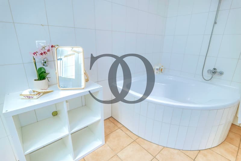 Appartement de 6,5 pièces avec piscine et terrasse de 200 m2 (10)