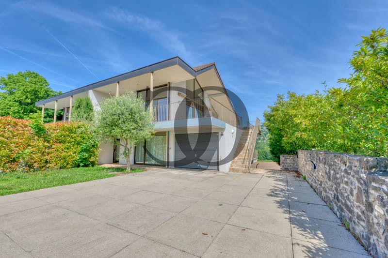 Magnifique villa moderne avec terrasses privatives et jardin (1)