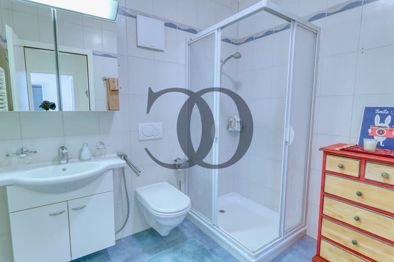 Appartement de 6,5 pièces avec piscine et terrasse de 200 m2 (11)