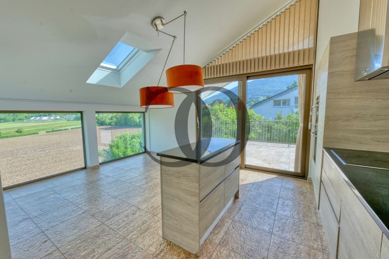 Magnifique villa moderne avec terrasses privatives et jardin (3)