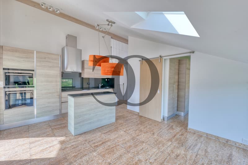 Magnifique villa moderne avec terrasses privatives et jardin (4)