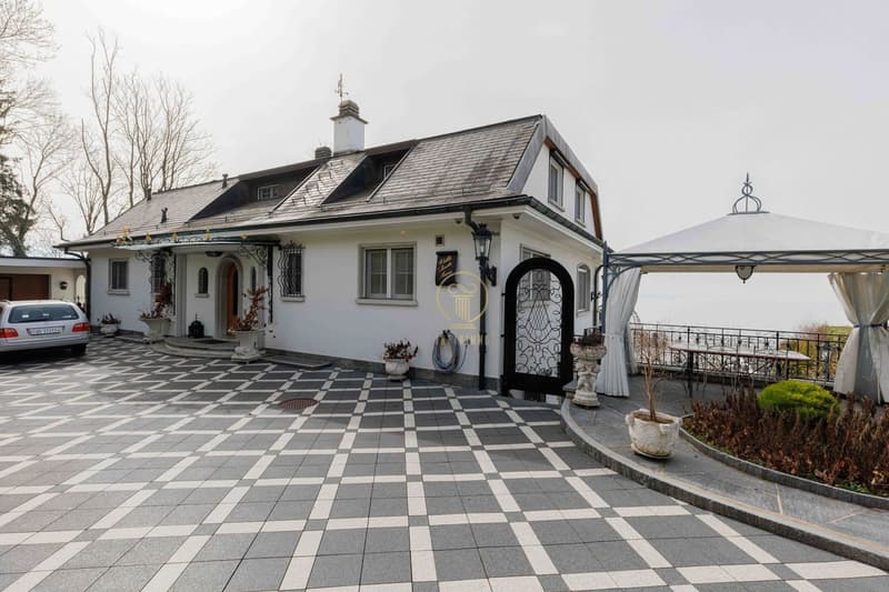 CROIX-SUR-LUTRY, superbe villa de maître avec 2810 m² de terrain et vue imprenable sur le lac ! (2)