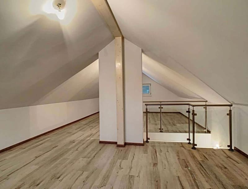 Magnifique duplex de 5.5 pièces à côté de l'hôpital (3)