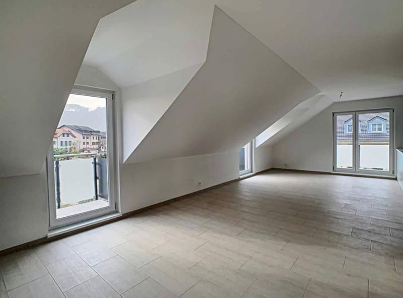 Magnifique duplex de 5.5 pièces à côté de l'hôpital (2)