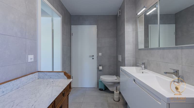 CARROUGE (VD), OBJET RARE ! Maison individuelle de 5.5 pièces avec vue sur le Moléson. (9)