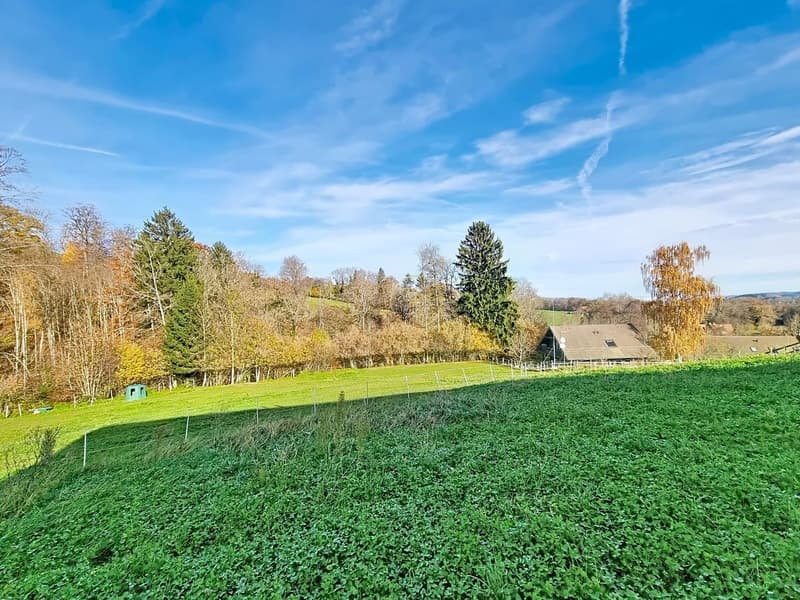 CORCELLES-LE-JORAT, villa mitoyenne neuve de 7.5 pièces (3)