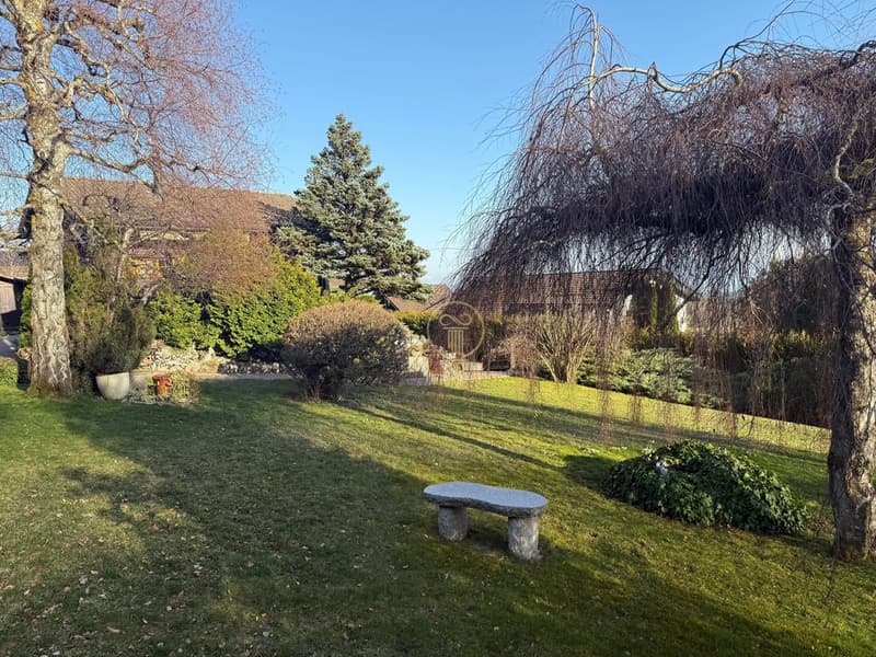 GIMEL, chalet atypique avec beaucoup de cachet ! (3)