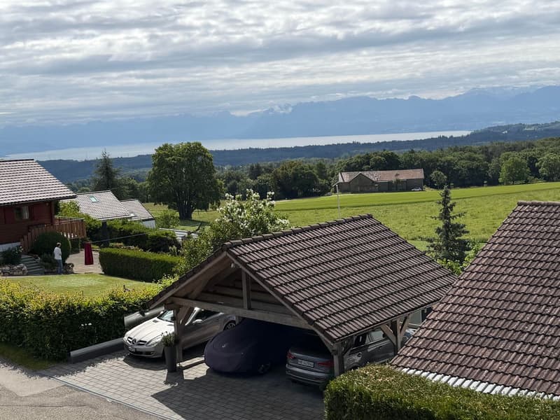 GIMEL, chalet atypique avec beaucoup de cachet ! (1)