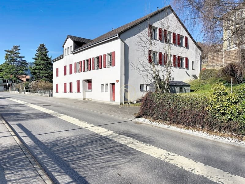 A BALLAIGUES - bel immeuble très bien entretenu et rénové de 5 appartements, 2 dépôts et 9 places de parc (1)
