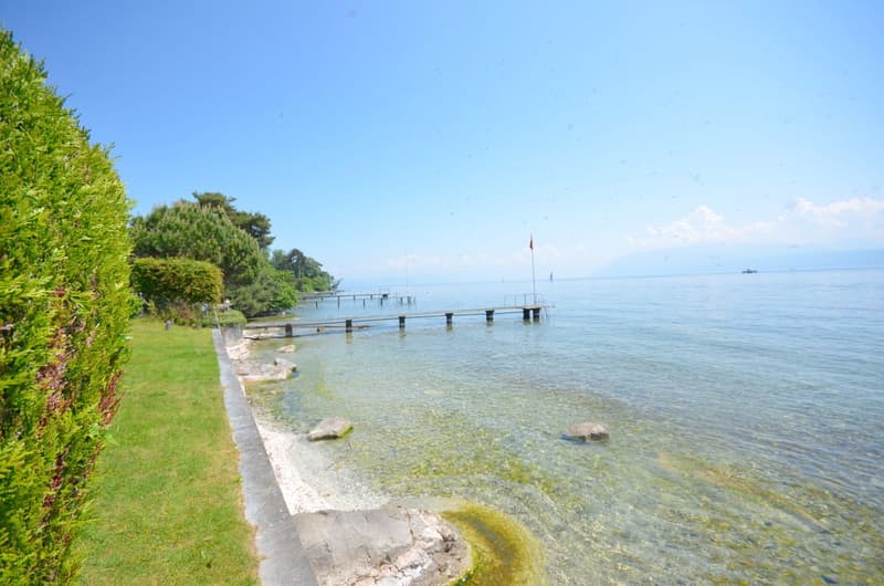 SAINT-PREX - DEUX VILLAS AU BORD DU LÉMAN, AVEC ACCÈS PRIVATIF AU LAC (12)