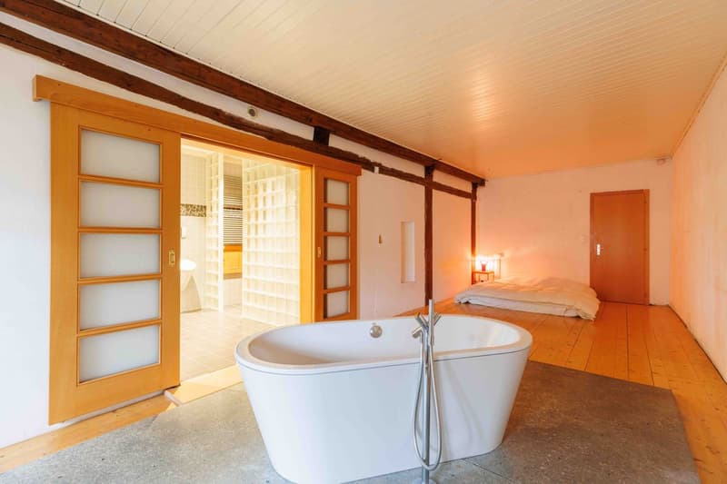 SULLENS, coup de coeur! Maison villageoise en bordure de zone agricole. (12)