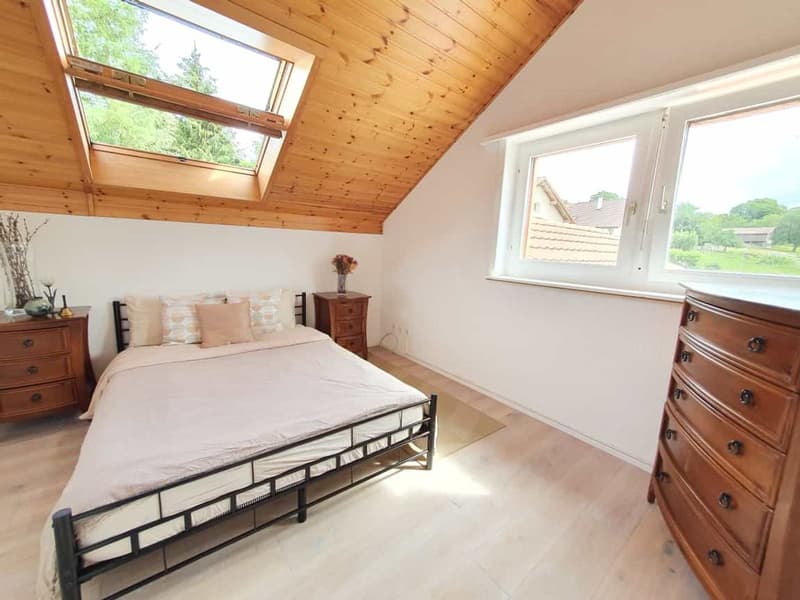 Chavannes-sur-Moudon - Magnifique villa à vendre (11)