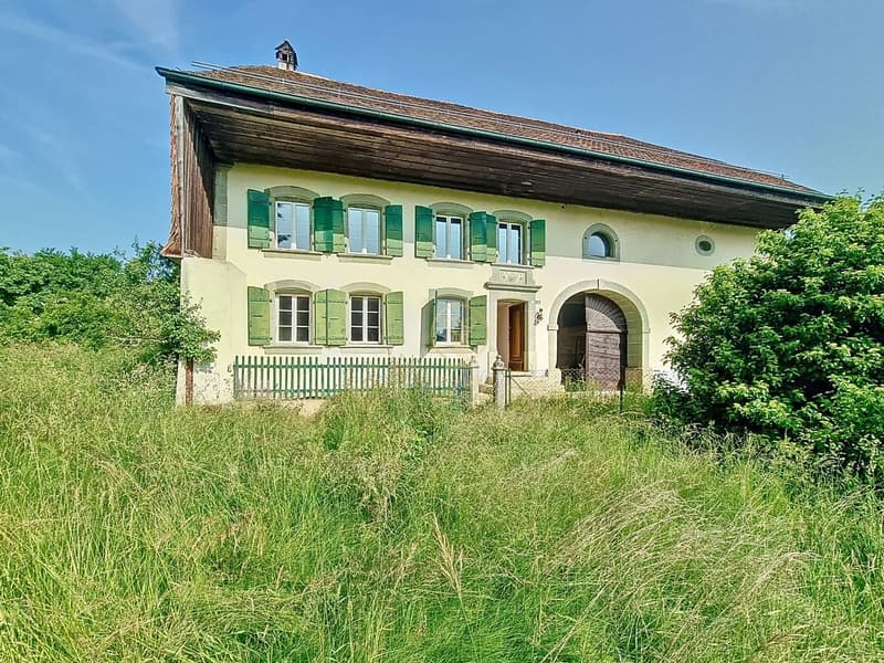 BRENLES, Ferme 5.5 p. de 1851 à rénover avec terrain agricole de 6000m2 potentiel. (12)
