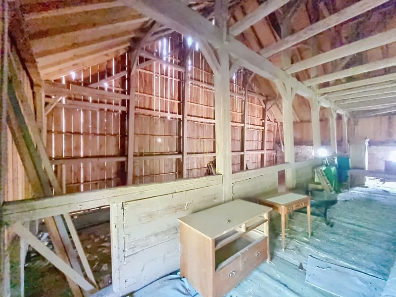 BRENLES, Ferme 5.5 p. de 1851 à rénover avec terrain agricole de 6000m2 potentiel. (10)