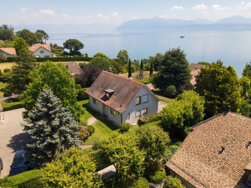 Vue Aérienne
