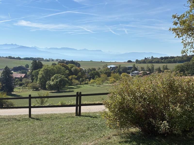 SAINT-GEORGES - En Exclusivité - Maison individuelle avec vue panoramique! (3)