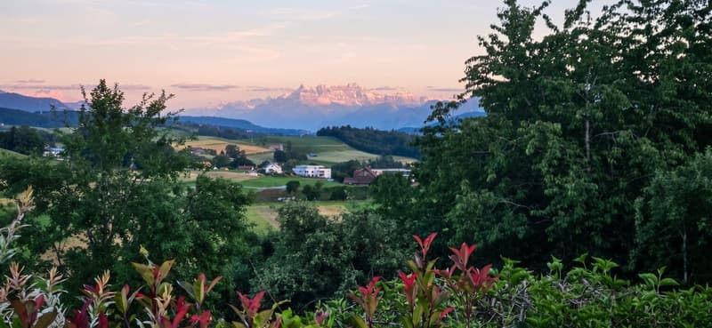 Chavannes-sur-Moudon - PORTES OUVERTES - Magnifique villa à vendre au calme (1)