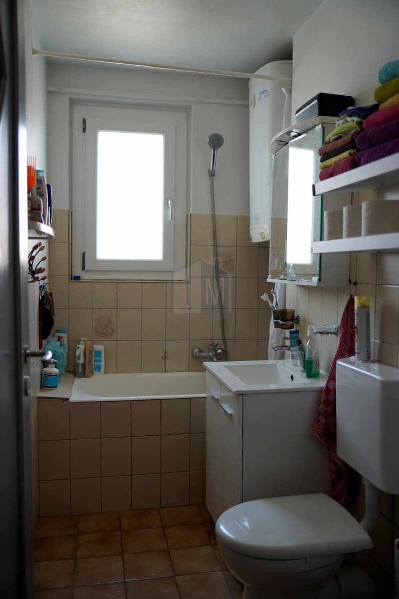 Un appartement de bon rendement, sympathique et déalement situé (8)