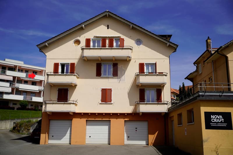 Un appartement de bon rendement, sympathique et déalement situé (1)
