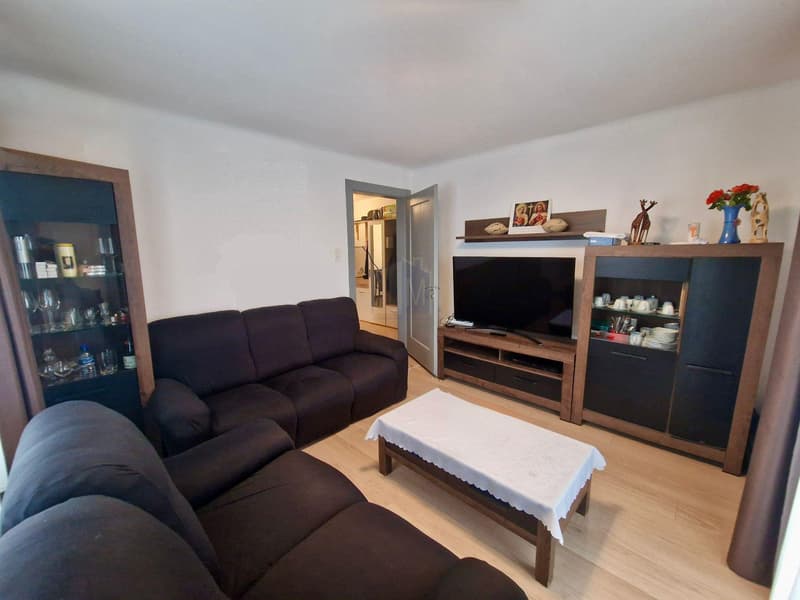 Un appartement de bon rendement, sympathique et déalement situé (4)