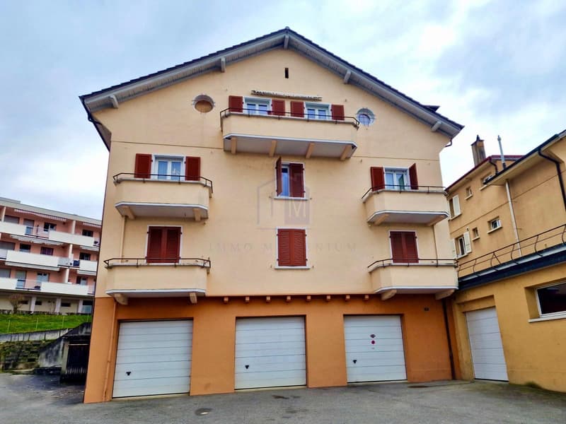 Un appartement de bon rendement, sympathique et déalement situé (2)