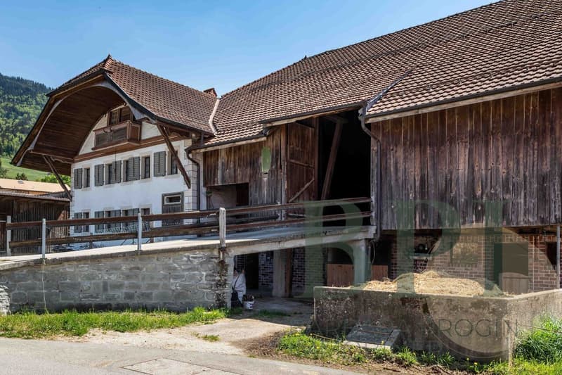 Ferme traditionnelle avec potentiel de développement (4)