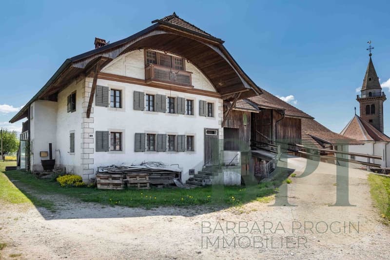 Ferme traditionnelle avec potentiel de développement (3)
