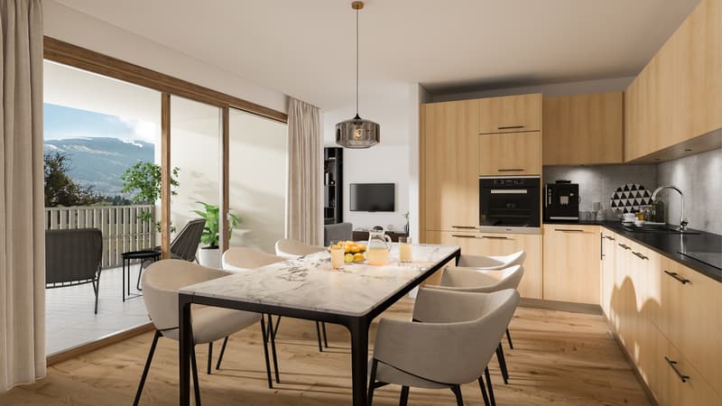 Appartements en PPE dans une ferme en cours de réhabilitation (1)