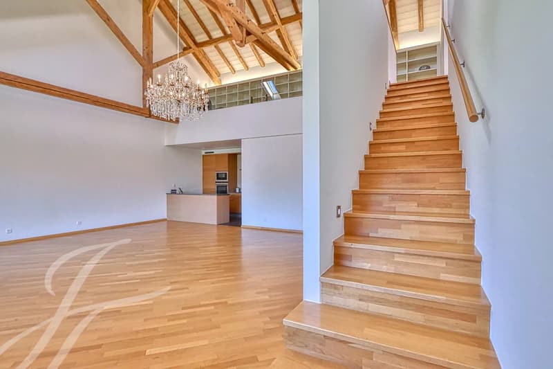 EN EXCLUSIVITÉ!! Appartement de 4.5 pièces aux volumes impressionnants (1)