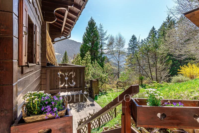 Magnifique chalet niché dans un oasis de verdure avec vue sur les montagnes (3)
