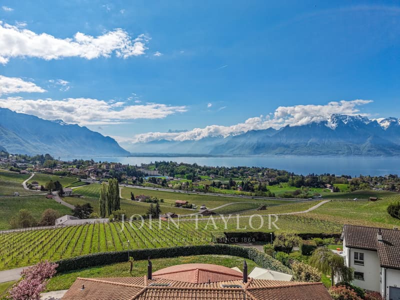 Somptueuse propriété avec vue panoramique sur le lac (6)