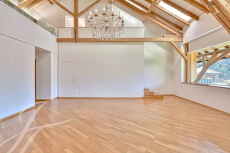 EN EXCLUSIVITÉ!! Appartement de 4.5 pièces aux volumes impressionnants (3)