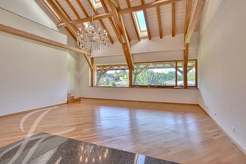 EN EXCLUSIVITÉ!! Appartement de 4.5 pièces aux volumes impressionnants (2)
