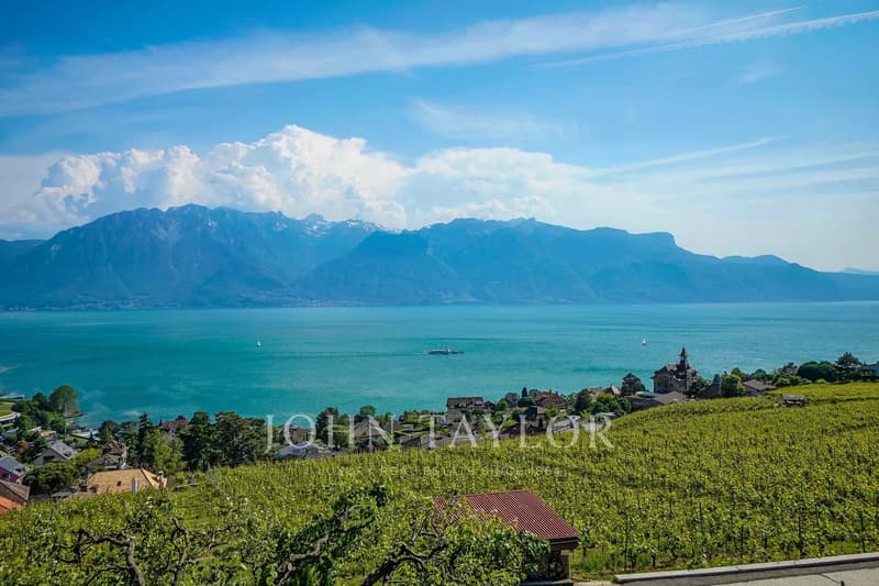 Somptueuse villa au Coeur des vignes avec vue spectaculaire (13)