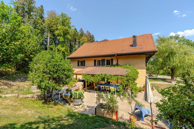 Ferme de 370m2 habitables avec piscine (3)