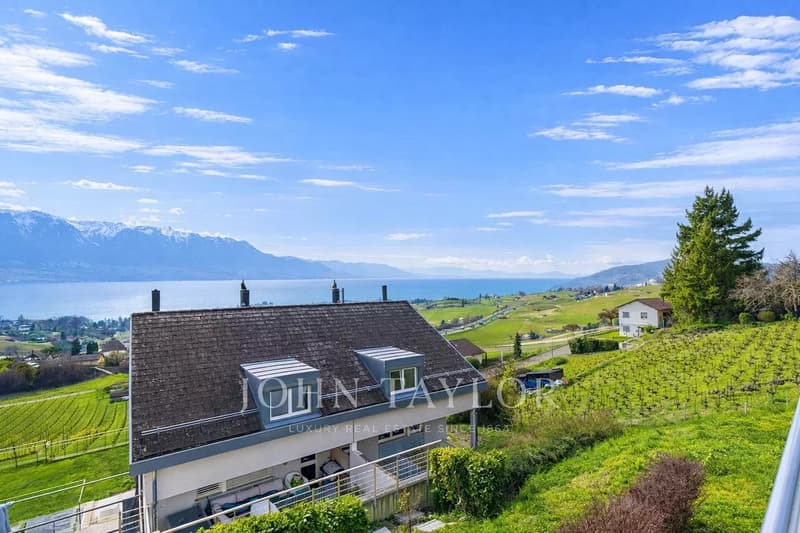 Magnifique villa jumelée avec vue sur lac et montagnes (5)