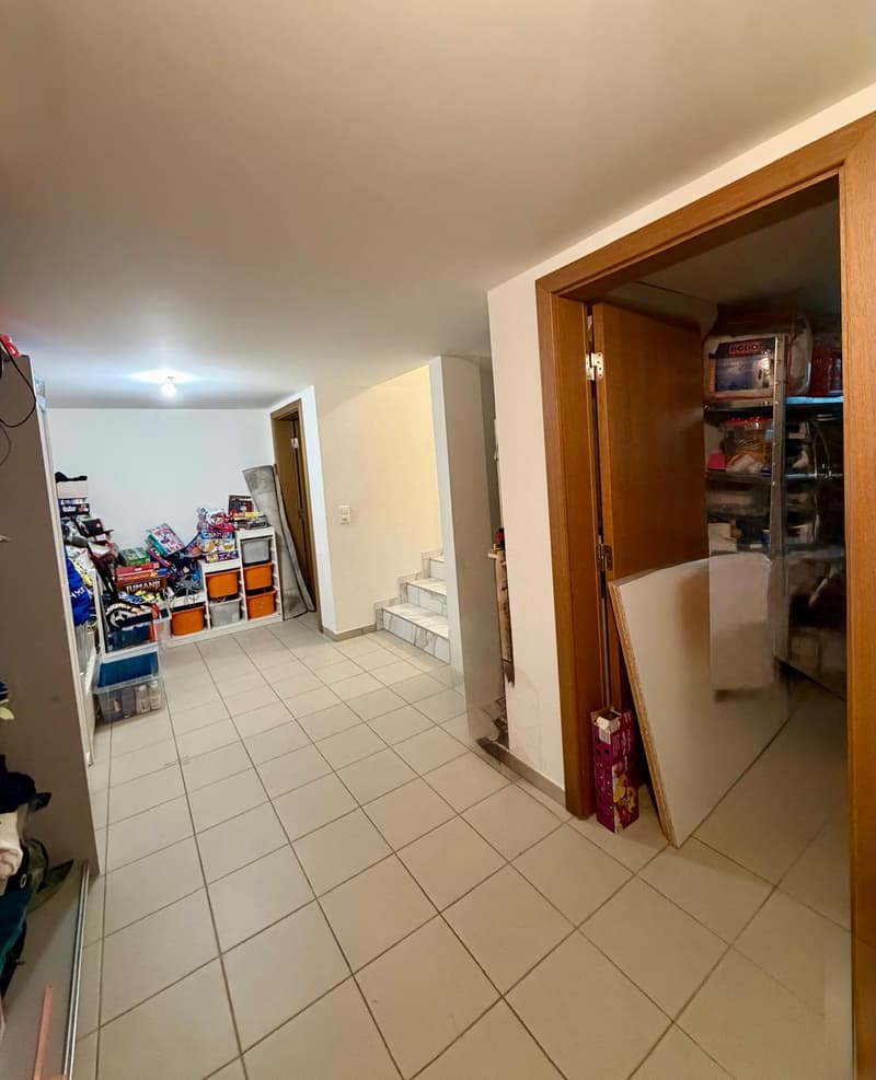 Magnifique maison individuelle de 5.5 pièces à Misery-Courtion (15)