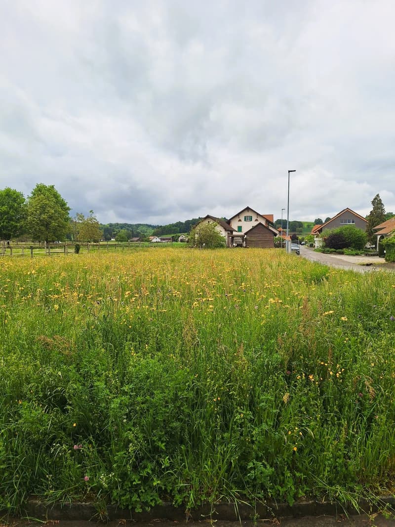 Maison individuelle (C) neuve et moderne à Montagny - Promotion de vente (11)