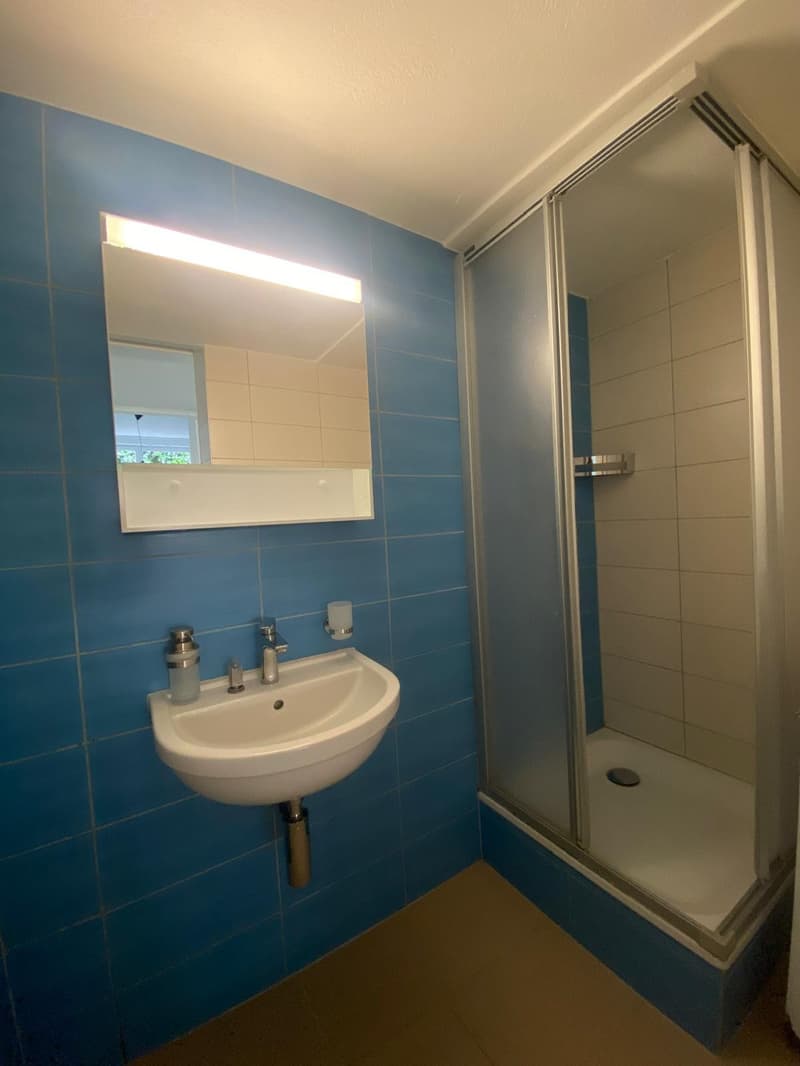 Bureau lumineux de 2,5 pièces à Belmont-Broye – Disponible immédiatement (4)