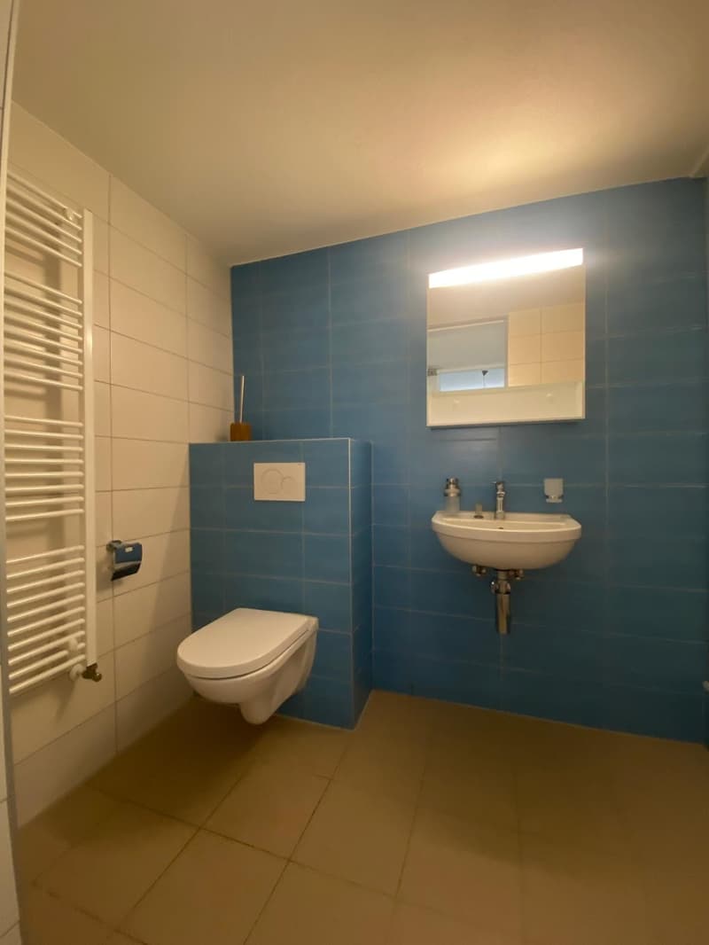 Bureau lumineux de 2,5 pièces à Belmont-Broye – Disponible immédiatement (5)