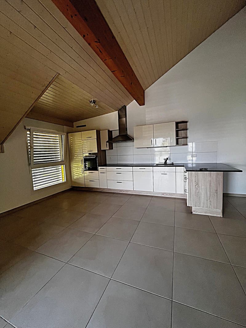 Charmant appartement de 3,5 pièces avec terrasse à Dompierre FR (2)